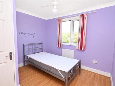 Picture 13